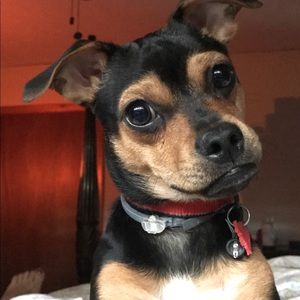 Meet your Posher, Lauree